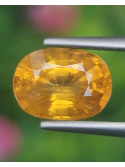 พลอย บุษราคัม yellow sapphire 2.66 กะรัต พลอยแท้ อัญมณีมงคลประจําวันเกิด เครื่องประดับพลอย