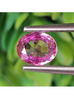 พลอย ชมพู พิ้ง แซฟไฟร์ Pink Sapphire 0.72 กะรัต (Cts.) พลอยแท้ อัญมณีมงคลประจําวันเกิด เครื่องประดับพลอย
