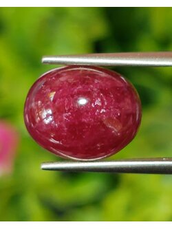 พลอย ทับทิม (Ruby Sapphire) 8.36 กะรัต (Cts.) พลอยแท้ อัญมณีมงคลประจําวันเกิด เครื่องประดับพลอย