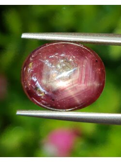 พลอย ทับทิม สตาร์ แซฟไฟร์ Ruby Star Sapphire 7.55 กะรัต (Cts.) พลอยแท้ อัญมณีมงคลประจําวันเกิด เครื่องประดับพลอย