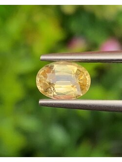 พลอย บุษราคัม yellow sapphire 1.11 กะรัต พลอยแท้ อัญมณีมงคลประจําวันเกิด เครื่องประดับพลอย