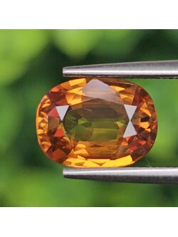 พลอย บุษราคัม yellow sapphire 2.89 กะรัต (Cts.) พลอยแท้ อัญมณีมงคลประจําวันเกิด เครื่องประดับพลอย