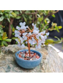 ต้นไม้หินอความารีน ต้นไม้มงคล หินมงคลจากธรรมชาติ ต้นไม้อัญมณีแท้ เสริมดวง มีพร้อมส่ง