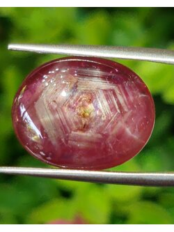 พลอย ทับทิม สตาร์ แซฟไฟร์ Ruby Star Sapphire 13.14 กะรัต (Cts.) พลอยแท้ อัญมณีมงคลประจําวันเกิด เครื่องประดับพลอย