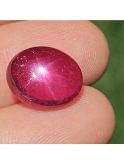 พลอย ทับทิม สตาร์ แซฟไฟร์ Ruby Star Sapphire 10.71 กะรัต (Cts.) พร้อมใบเซอร์ พลอยแท้ อัญมณีมงคลประจําวันเกิด เครื่องประดับพลอย