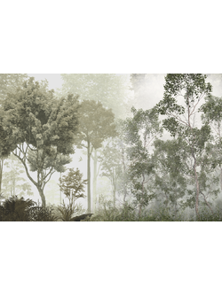 Wallpaper Digital Printing TR24002