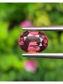 พลอย เพทาย Natural Zircon 2.43 กะรัต (Cts.) พลอยแท้ อัญมณีมงคลประจําวันเกิด เครื่องประดับพลอย