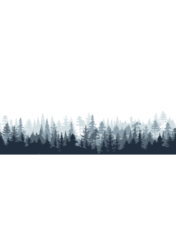 Wallpaper Digital Printing TR24077