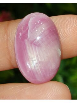 พลอย ทับทิม สตาร์ แซฟไฟร์ Ruby Star Sapphire 22.32 กะรัต (Cts.) พลอยแท้ อัญมณีมงคลประจําวันเกิด เครื่องประดับพลอย