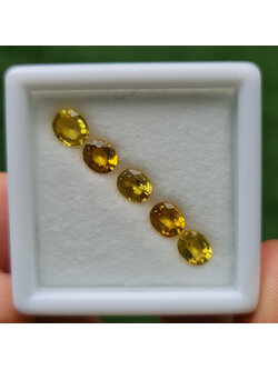 พลอย บุษราคัม yellow sapphire 3.84 กะรัต (Cts.) 5 เม็ด (Pcs.) พลอยแท้ อัญมณีมงคลประจําวันเกิด เครื่องประดับพลอย