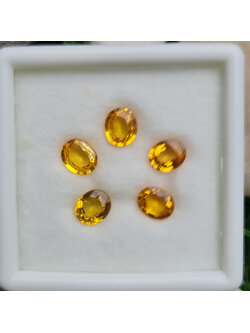 พลอย บุษราคัม yellow sapphire 3.66 กะรัต (Cts.) 5 เม็ด (Pcs.) พลอยแท้ อัญมณีมงคลประจําวันเกิด เครื่องประดับพลอย