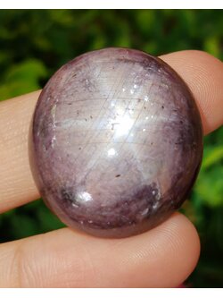 พลอย ทับทิม สตาร์ แซฟไฟร์ Ruby Star Sapphire 103.07 กะรัต (Cts.) ดิบ Unheated พร้อมใบเซอร์ พลอยแท้ อัญมณีมงคลประจําวันเกิด เครื่องประดับพลอย