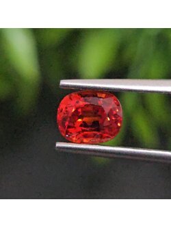 พลอย ทับทิม ซองเจีย Songea Ruby Sapphire 1.42กะรัต (Cts.) พร้อมใบเซอร์ พลอยแท้ อัญมณีมงคลประจําวันเกิด เครื่องประดับพลอย