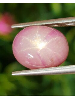 พลอย ทับทิม สตาร์ แซฟไฟร์ Ruby Star Sapphire 10.76 กะรัต (Cts.) พลอยแท้ อัญมณีมงคลประจําวันเกิด เครื่องประดับพลอย