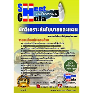 pv4 นักวิเคราะห์นโยบายและแผน