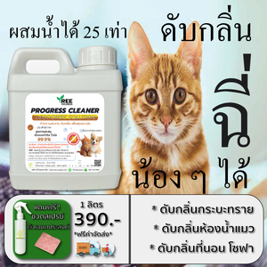 ขายดี แนะนำ