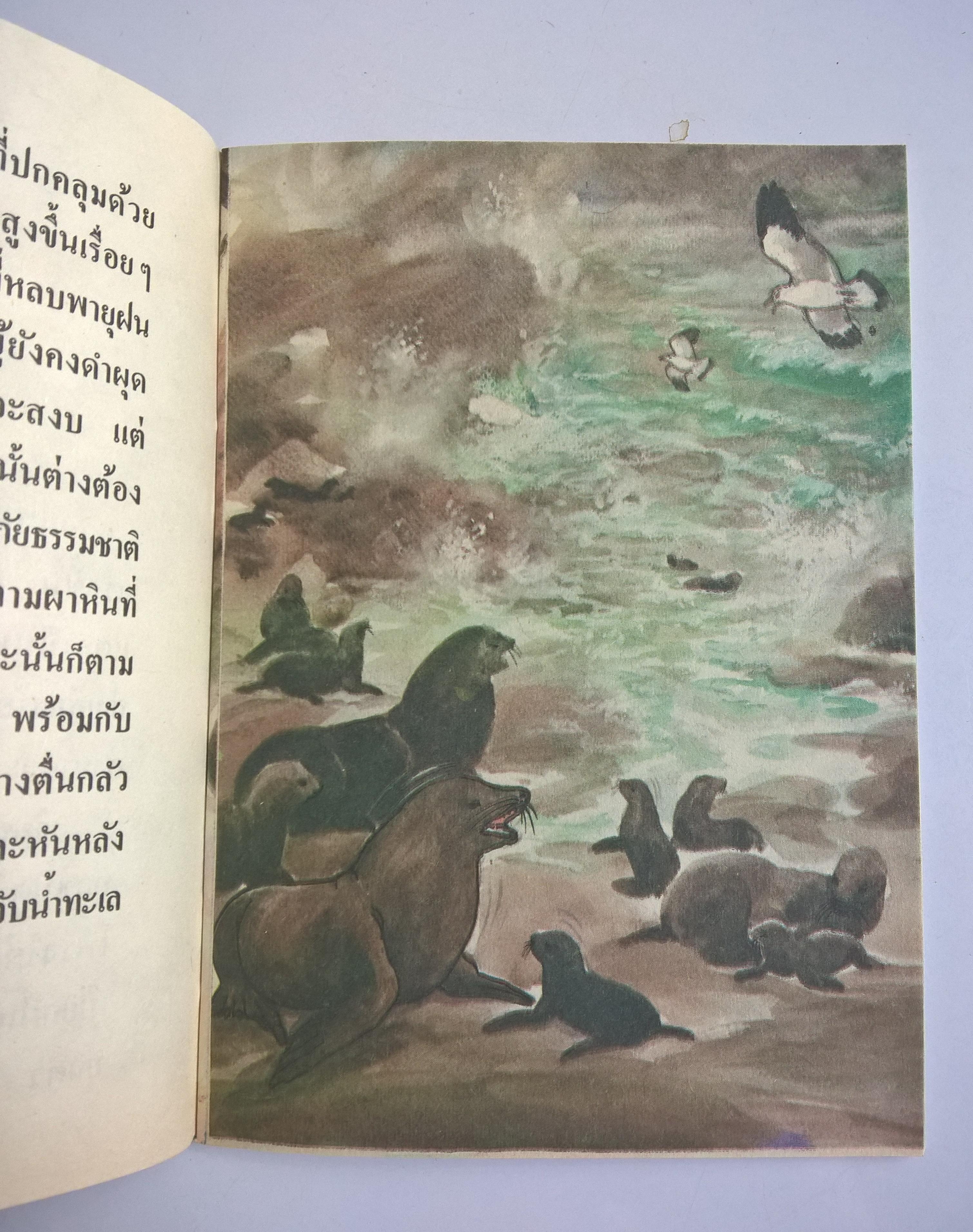 หนังสือเล่มเล็ก ขององค์การค้าคุรุสภา "พายุ" เรื่องโดย ประพันธ์ บุญกลิ่นขจร ภาพ โดย มงคล วงศ์กาฬสินธุ์ พิมพ์ครั้งที่1 ปี 2531 **ปกหลังมีตำหนิเล็กน้อย