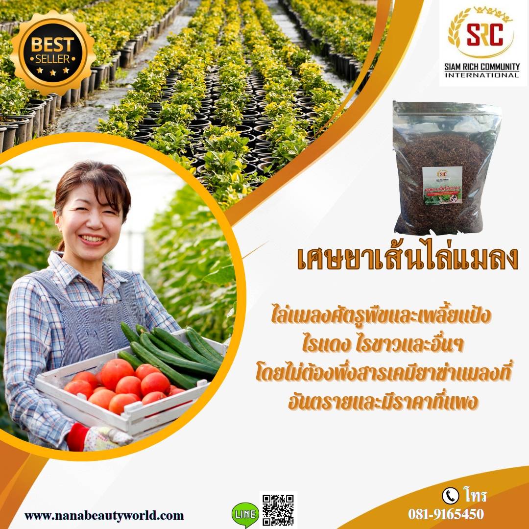 2 PV.เศษยาเส้น หมักไล่แมลง เพลี้ย ศัตรูพืช ปลอดภัยต่อสิ่งแวดล้อม ขนาด 1000 กรัม