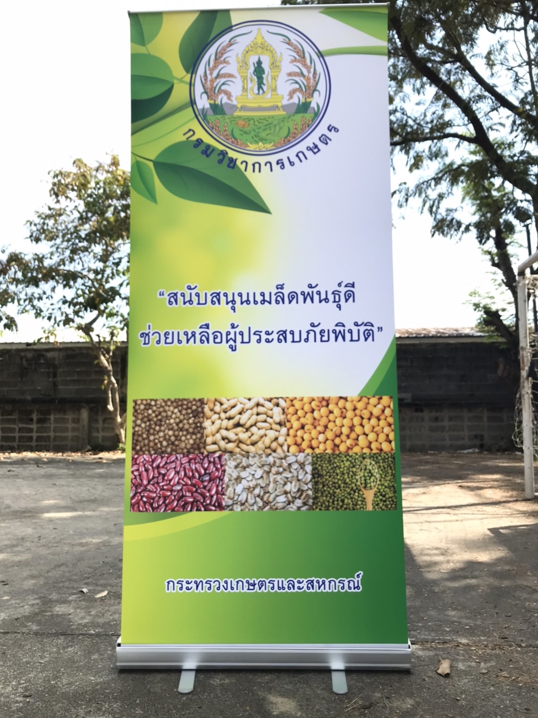 โรลอัพ Roll up ราคาถูก