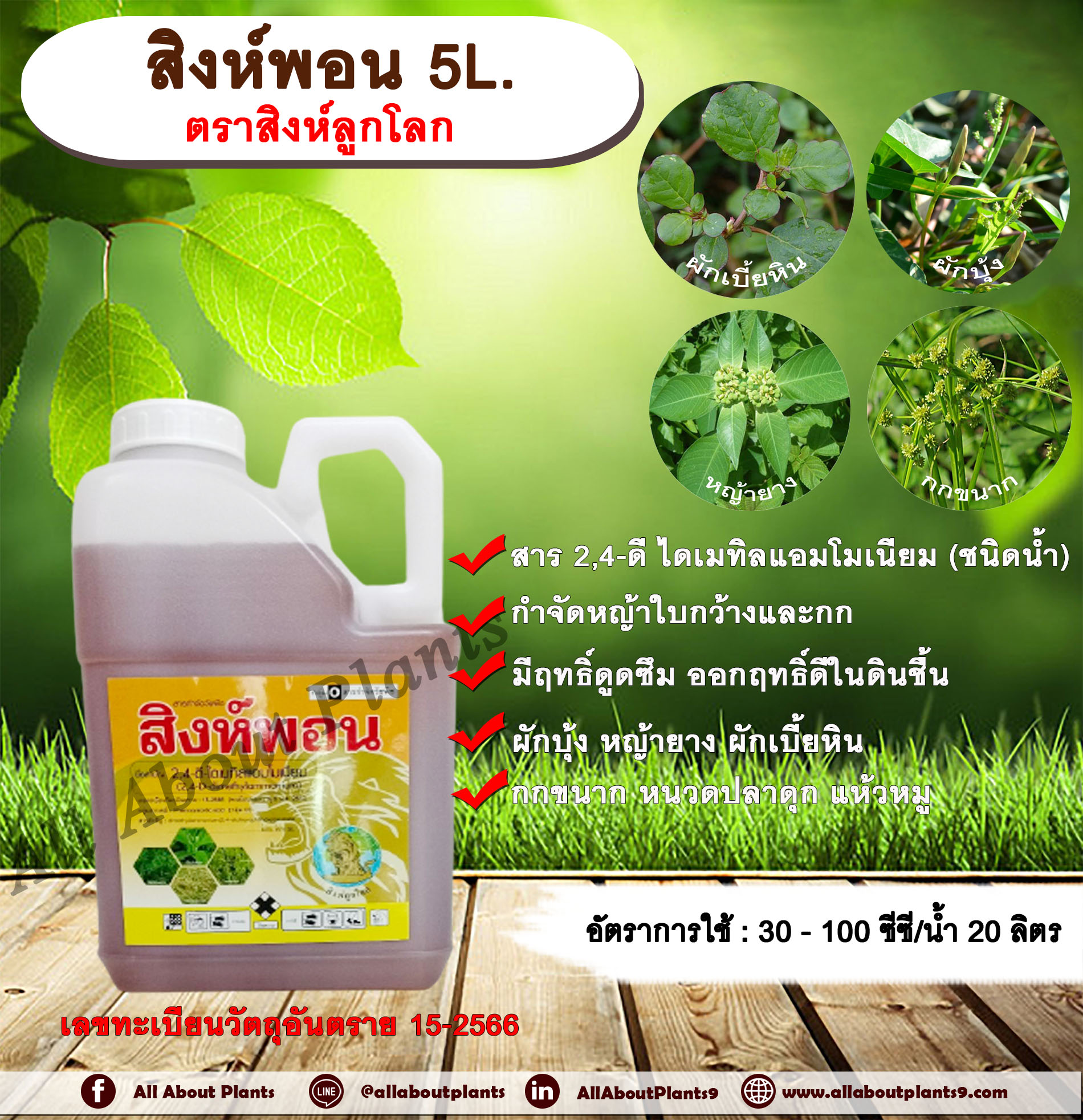 สิงห์พอน 5L. ตราสิงห์ลูกโลก 24ดี ไดเมทิลแอมโมเนียม ทูโฟดี สารกำจัดหญ้า กำจัดวัชพืช แบบดูดซึม ใบกว้าง และกก กำจัดหญ้ายาง ชิ้น