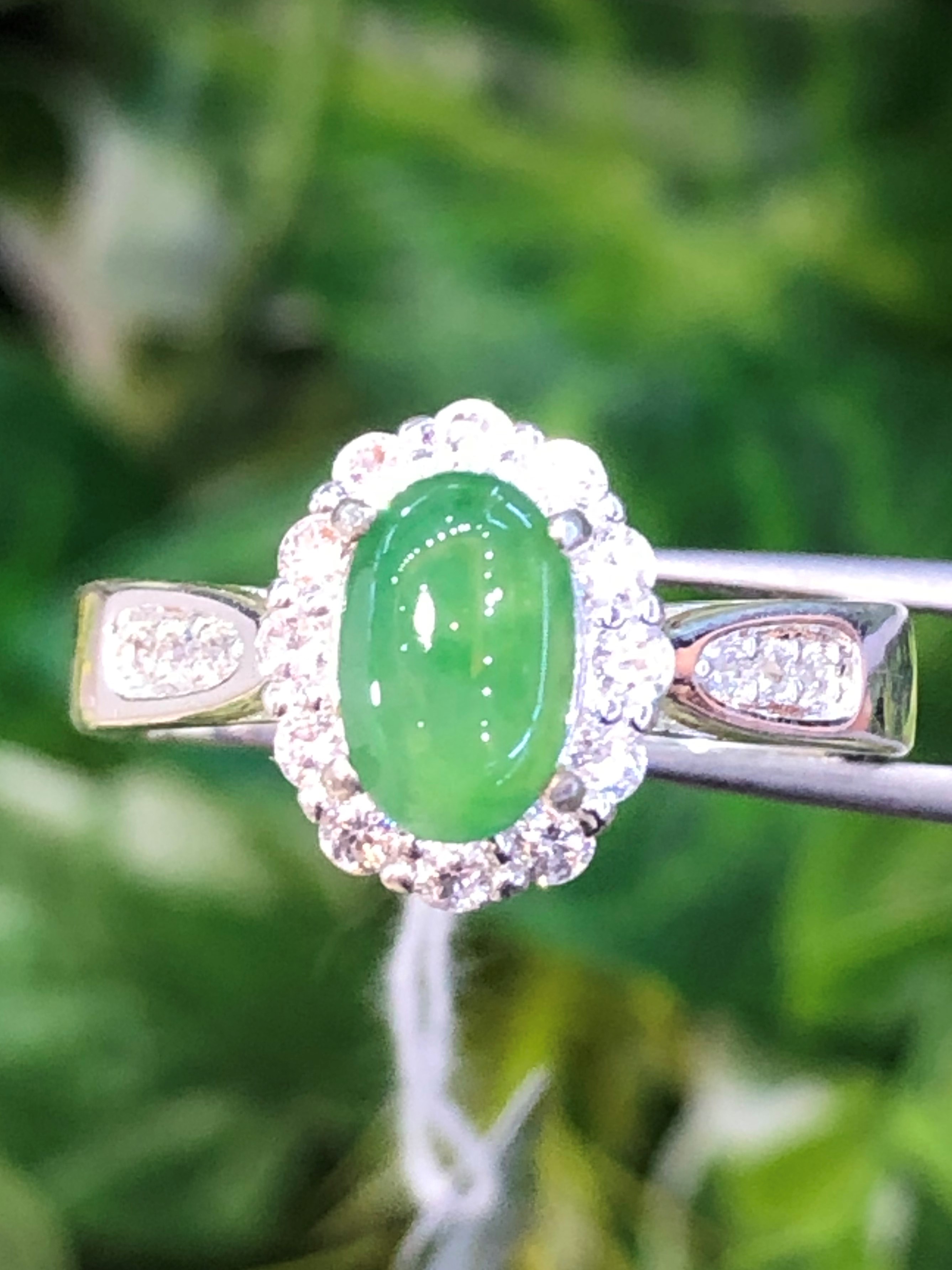 หยก พม่า แท้ Jade แหวนหยก (jadeite Ring) ดิบ (Size) 59 ไม่ผ่านการปรับปรุง (Type A) พม่า (Myanmar)