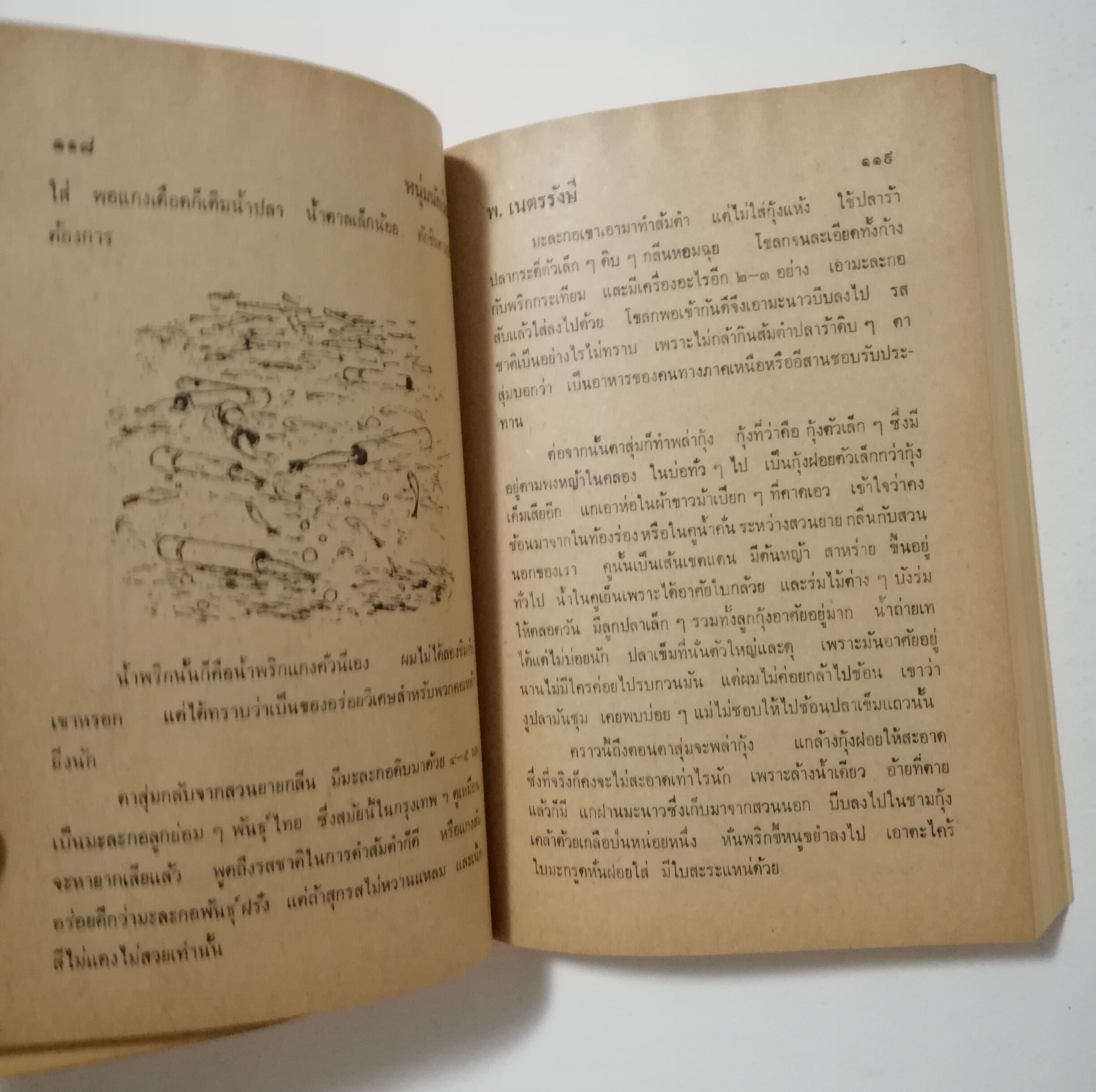 หนังสือเก่า นิยายเชิงอัตชีวประวัติของ พ.เนตรรังษี "หนุ่มนักเรียน" พร้อมภาพประกอบในเล่ม ปีที่พิพม์ ตุลาคม 2526 **มีตำหนิตามภาพ