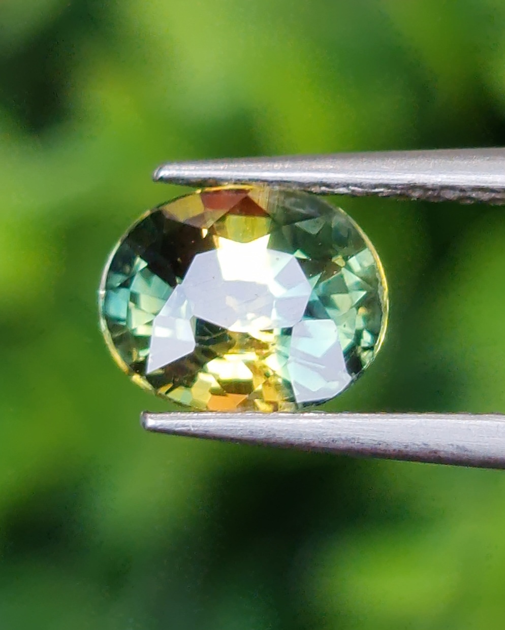 พลอย แซฟไฟร์ 2 สี Bi Color Sapphire 1.51 กะรัต (Cts.) พลอยแท้ อัญมณีมงคลประจําวันเกิด เครื่องประดับพลอย