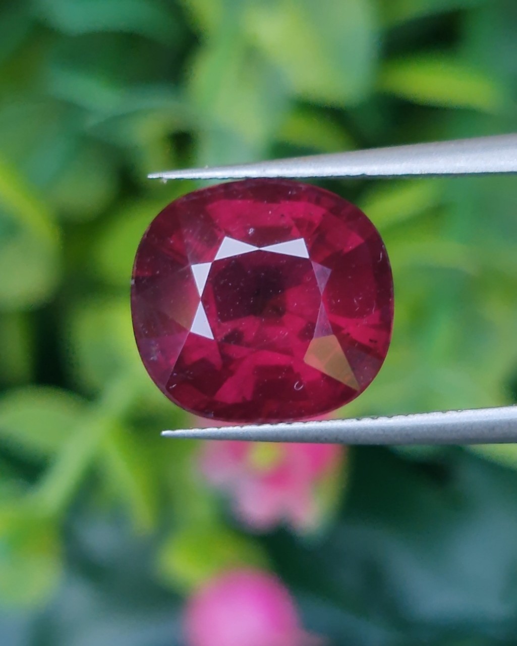 พลอย โรโดไลต์ กาเน็ท Rhodolite Garnet 7.52 กะรัต Cts.พลอยแท้ อัญมณีมงคลประจําวันเกิด เครื่องประดับพลอย