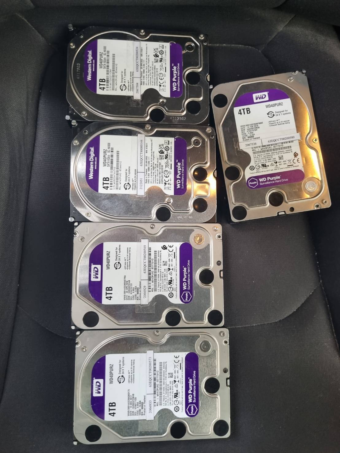 Harddisk WD 4 TB สีม่วง