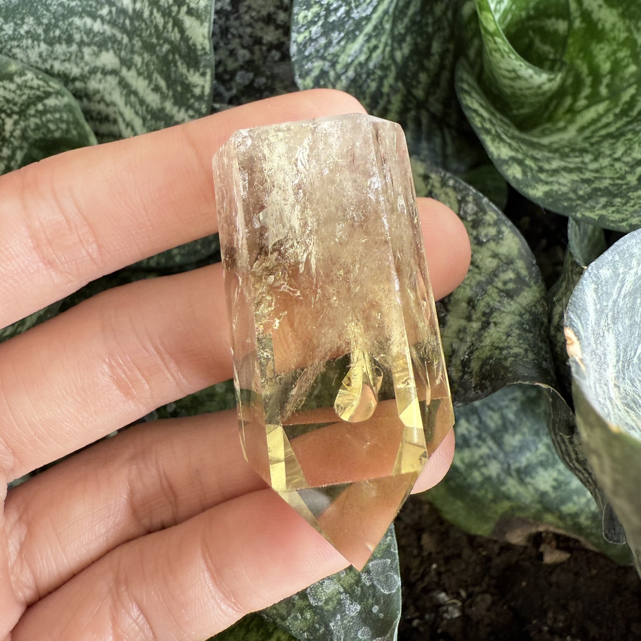ก้อน ผลึก ซิทริน Citrine 200.00 กะรัต (Cts.) พลอยแท้ อัญมณีมงคลประจําวันเกิด เครื่องประดับพลอย