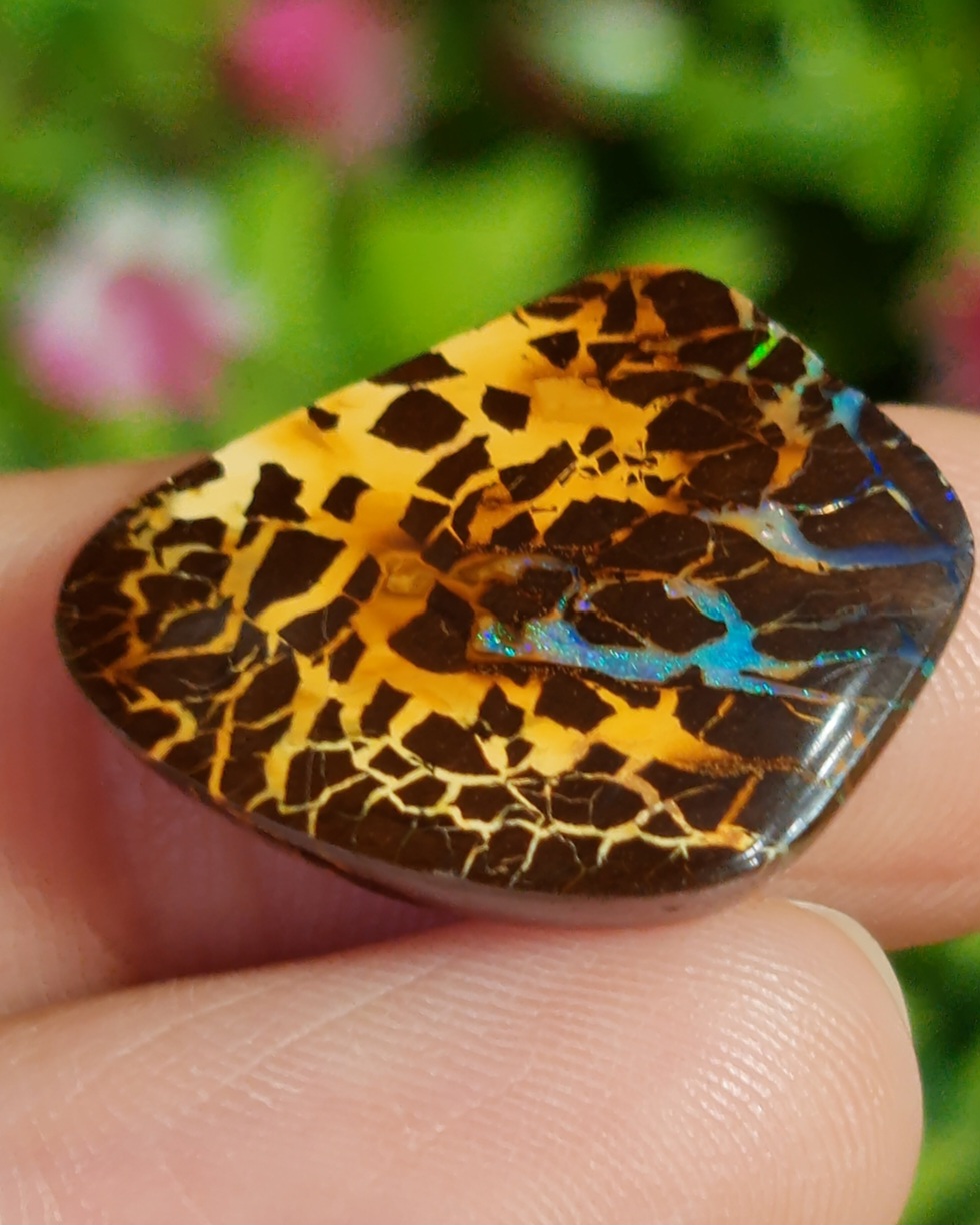 พลอย โบลเดอร์ โอปอล ออสเตรเลีย Australian Boulder Opal 15.10 กะรัต (Cts.) พลอยแท้ อัญมณีมงคลประจําวันเกิด เครื่องประดับพลอย