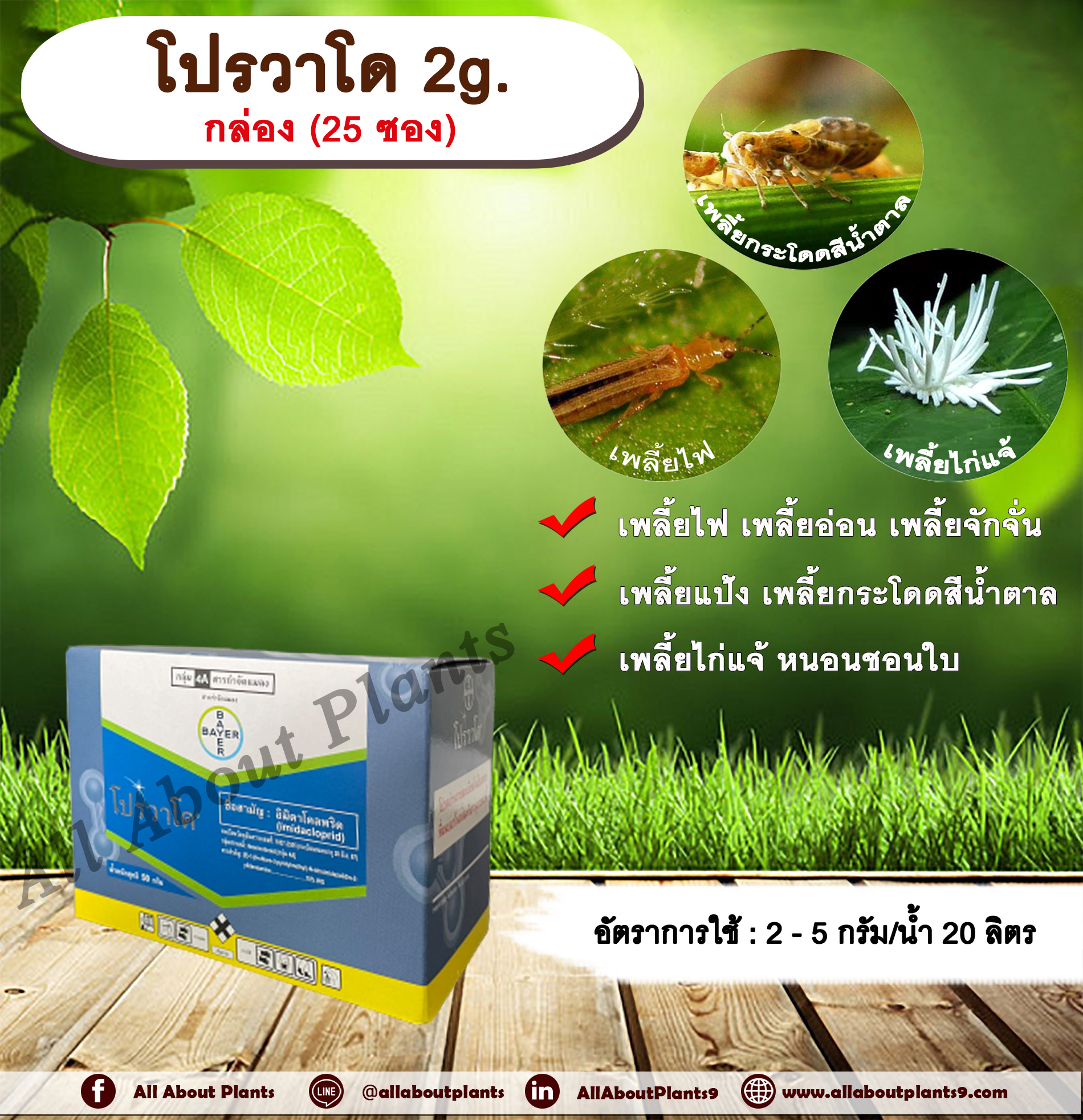 โปรวาโด 2g. 25 ซอง 1กล่อง อิมิดาโคลพริด สารกำจัดแมลง กำจัดเพลี้ยไฟ เพลี้ยอ่อน เพลี้ยแป้ง เพลี้ยกระโดด แมลงหวี่ขาว หนอนชอนใบ allaboutplants ชิ้น