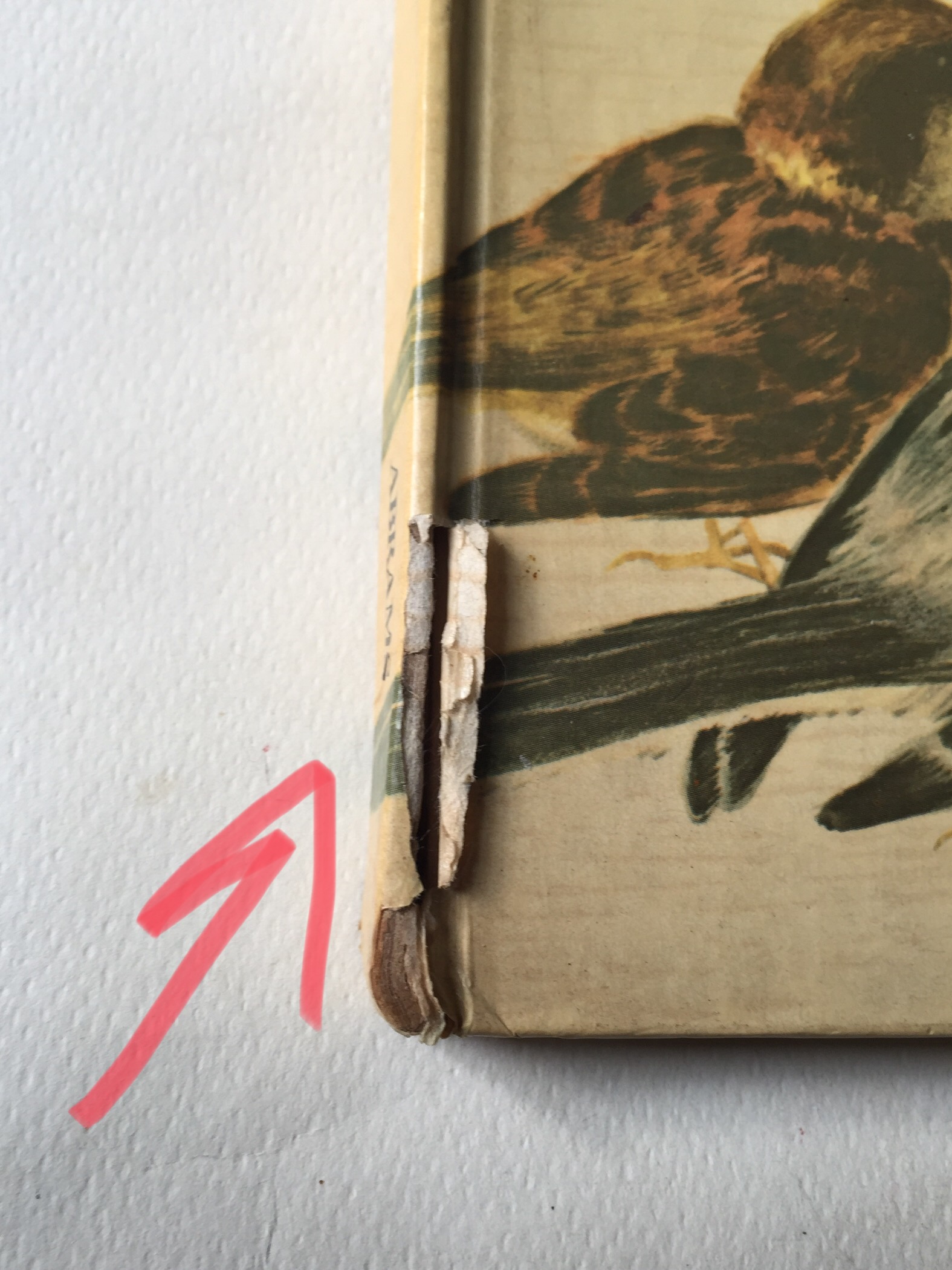 หนังสือภาพเก่าปกแข็ง ฉบับภาษาอังกฤษ pop up Book of Gnomes ** มีตำหนิ โปรดตรวจสอบทุกภาพ,Art Director: Chuck Murphy Designer : John stresan Paper Engineer : Tor Lokvig Handwriting: Diane Kosowski @1979 Harry N.Abrams,Ine. Adapted from GNOMES by Rien Poortvl