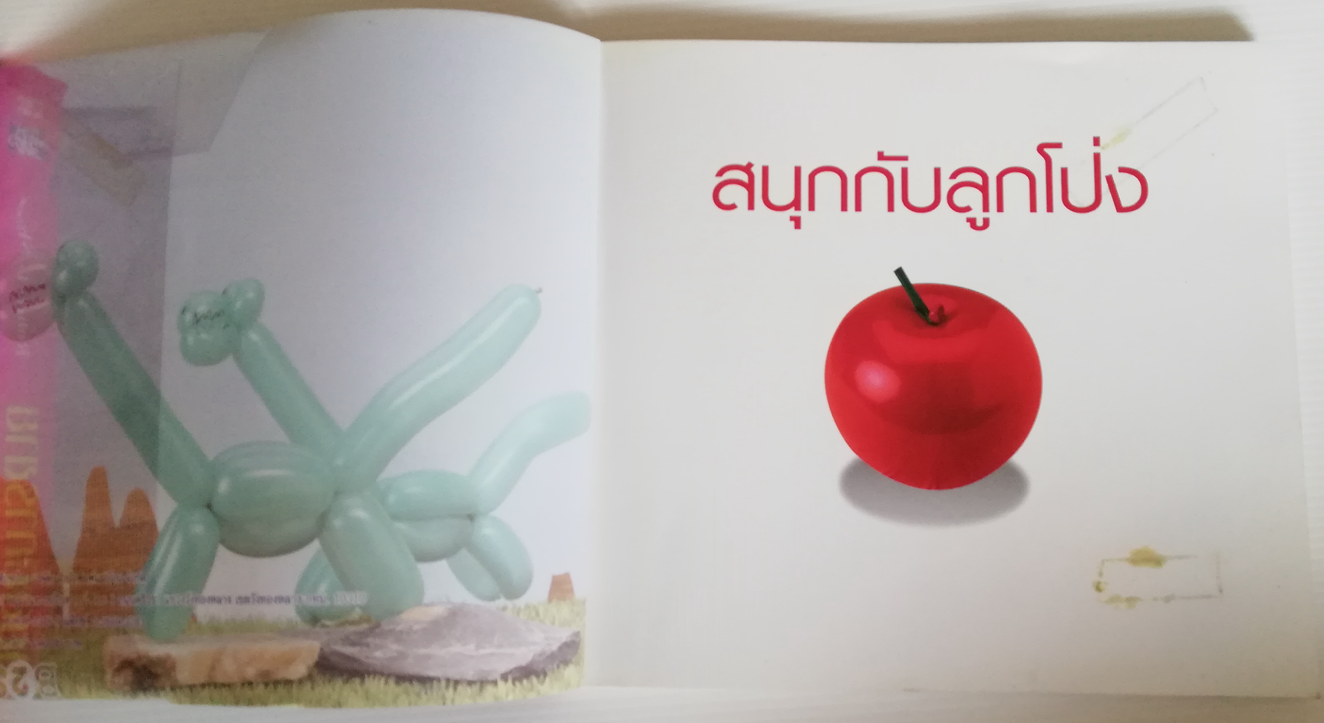 หนังสืองานอดิเรก "สนุกกับลูกโป่ง" โดย ปรีชา กระจังทอง