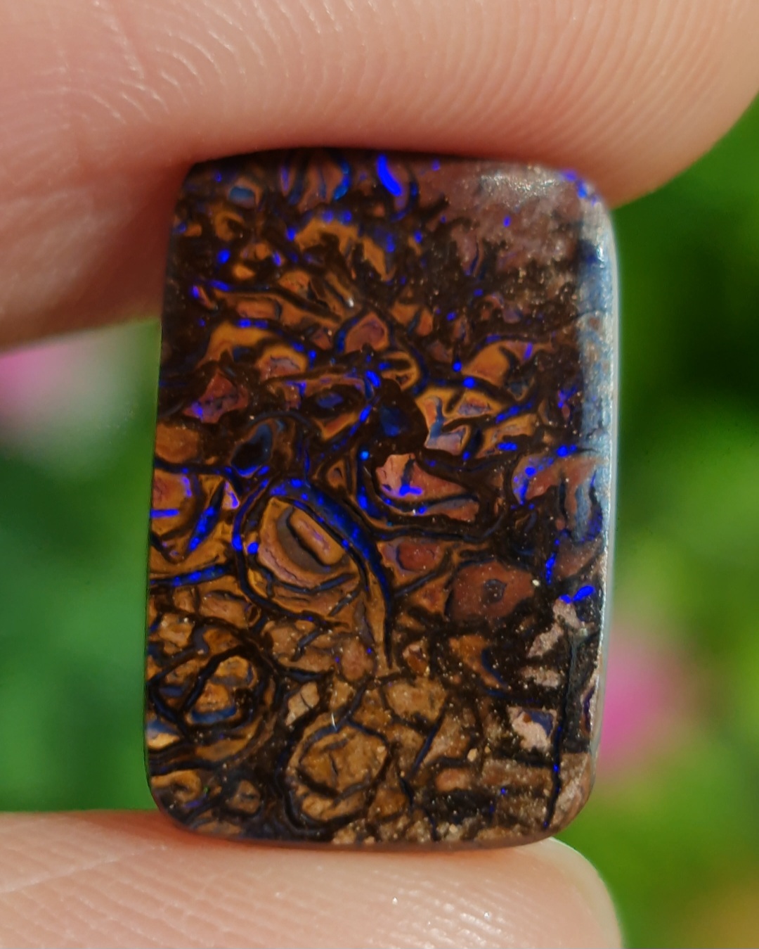 พลอย โบลเดอร์ โอปอล ออสเตรเลีย Australian Boulder Opal 7.00 กะรัต (Cts.) พลอยแท้ อัญมณีมงคลประจําวันเกิด เครื่องประดับพลอย