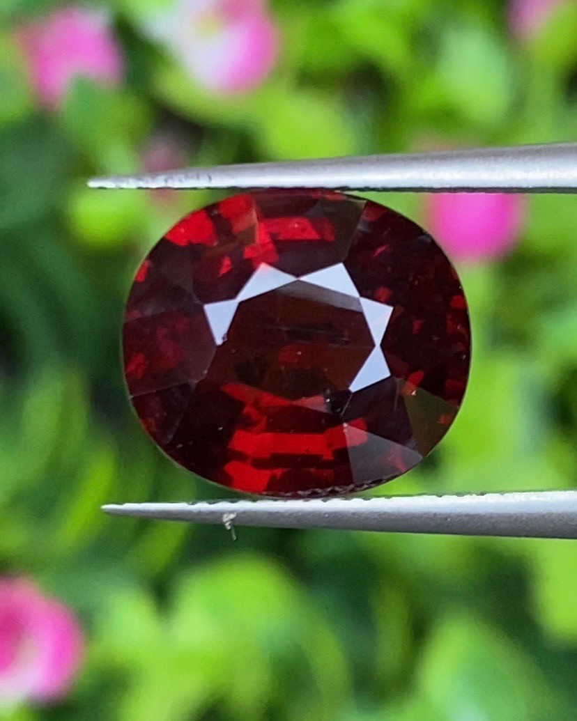 พลอย โกเมน Pyrope - Almandite Garnet 6.55 กะรัต (Cts.) พร้อมใบเซอร์ พลอยแท้ อัญมณีมงคลประจําวันเกิด เครื่องประดับพลอย