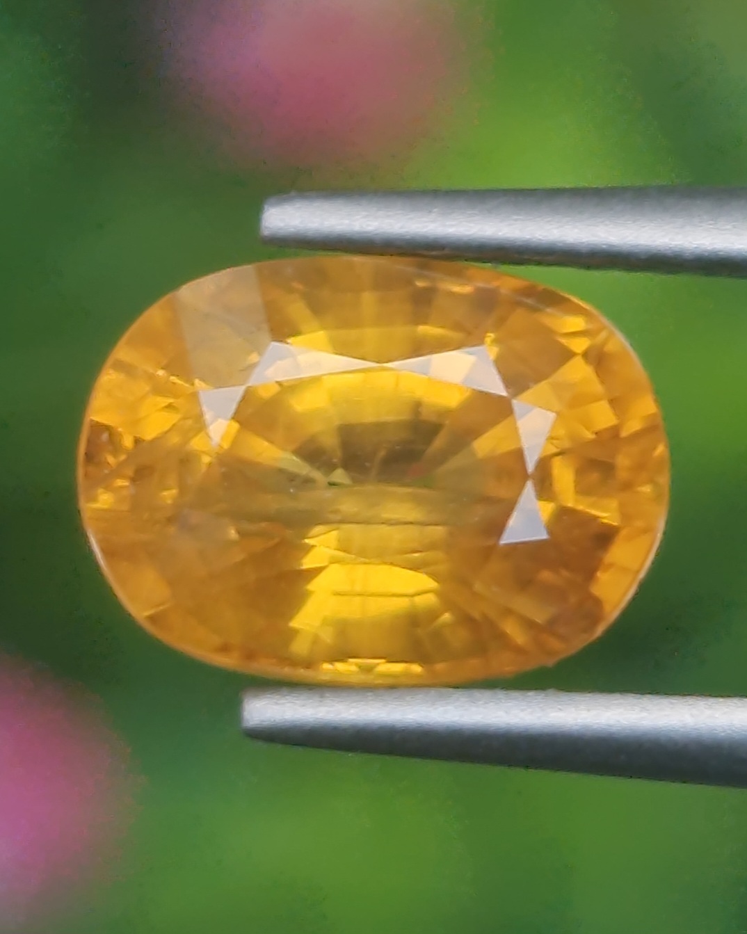พลอย บุษราคัม yellow sapphire 2.66 กะรัต พลอยแท้ อัญมณีมงคลประจําวันเกิด เครื่องประดับพลอย