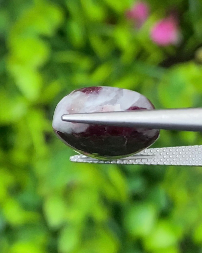 พลอย ทัวร์มารีน (Tourmaline) 11.60 กะรัต (Cts.) อัญมณีมงคลประจําวันเกิด เครื่องประดับพลอย