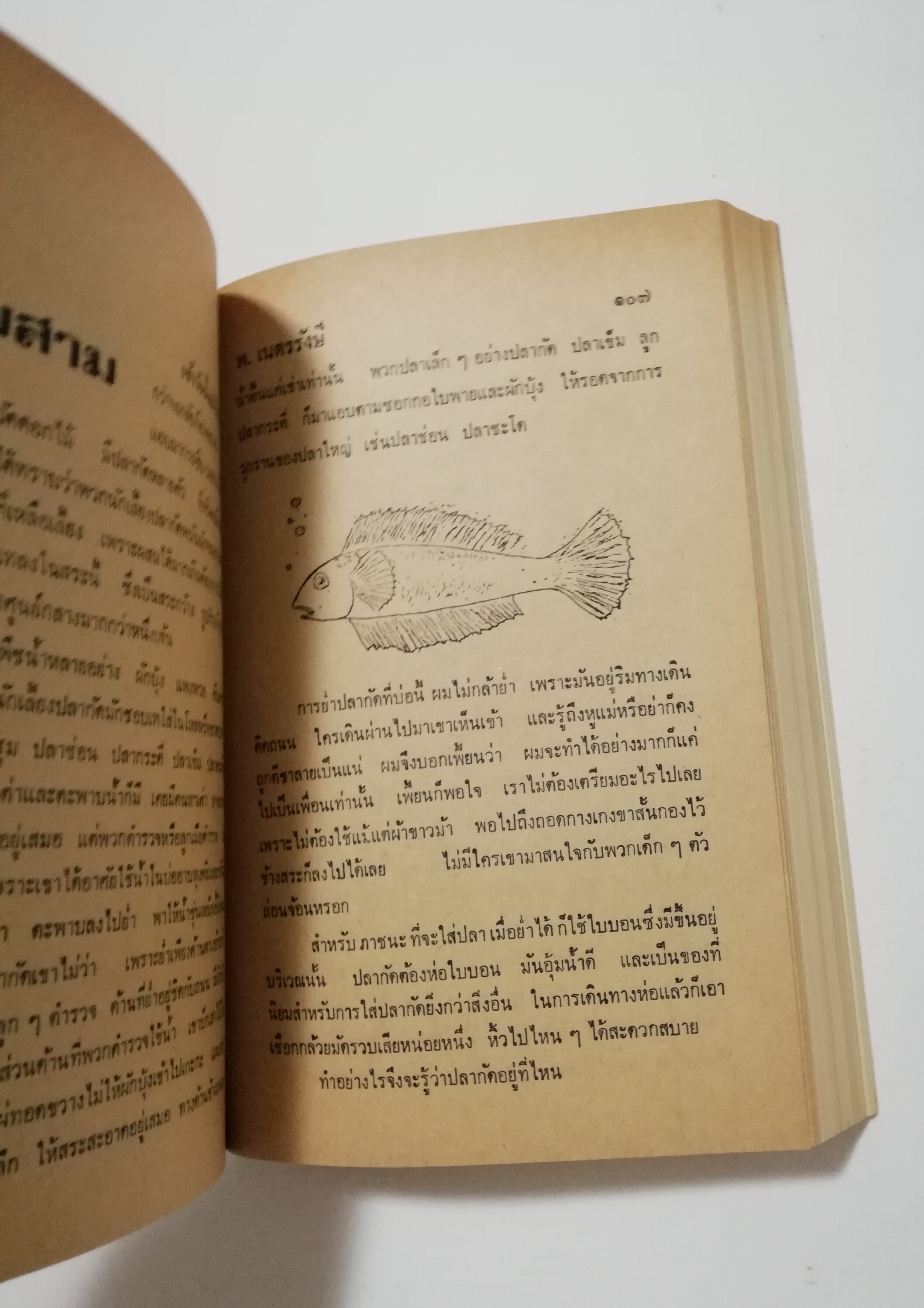 หนังสือเก่า นิยายเชิงอัตชีวประวัติของ พ.เนตรรังษี "หนุ่มนักเรียน" พร้อมภาพประกอบในเล่ม ปีที่พิพม์ ตุลาคม 2526 **มีตำหนิตามภาพ