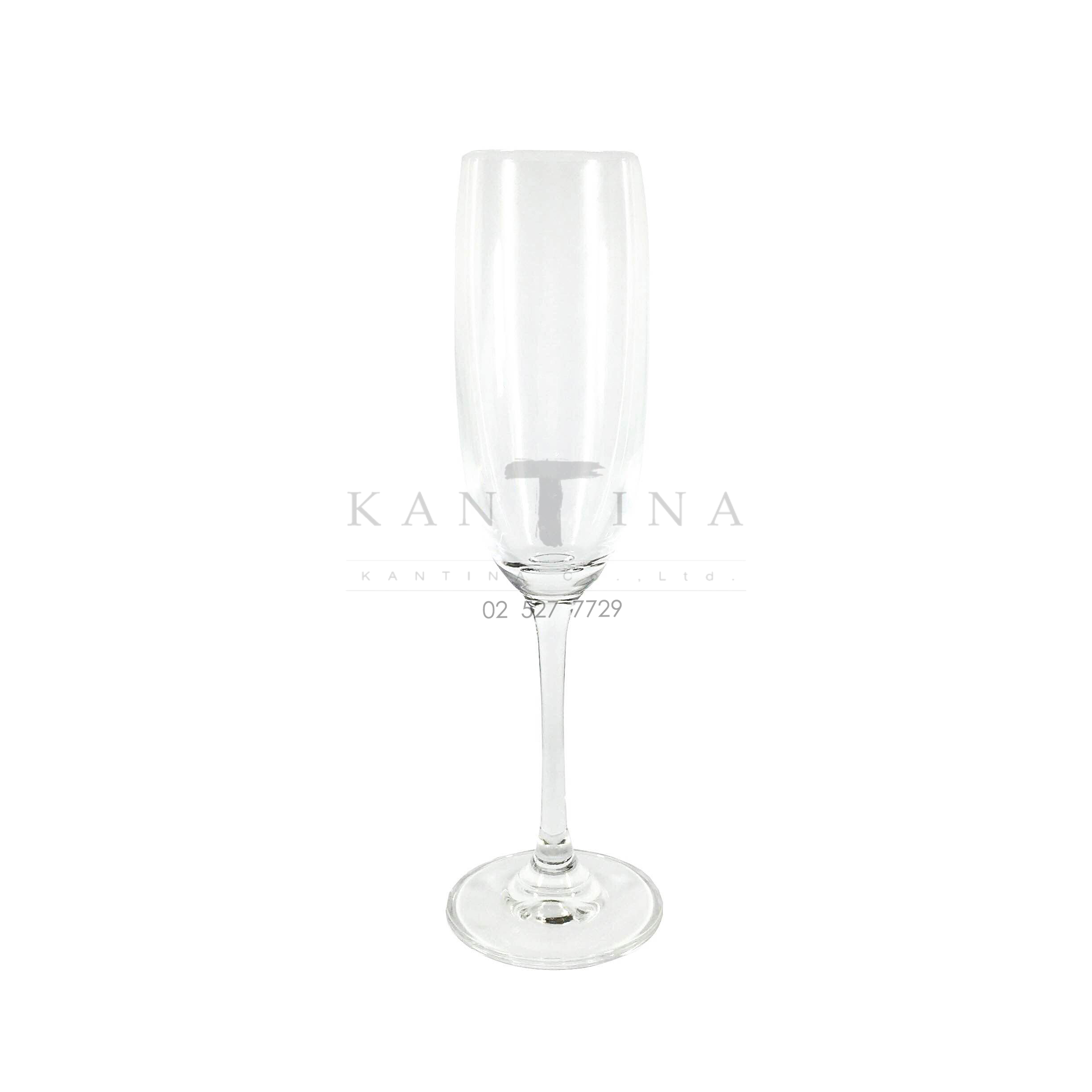 แก้วคริสตัล PREMIER CHAMPAGNE (WAG 1101)