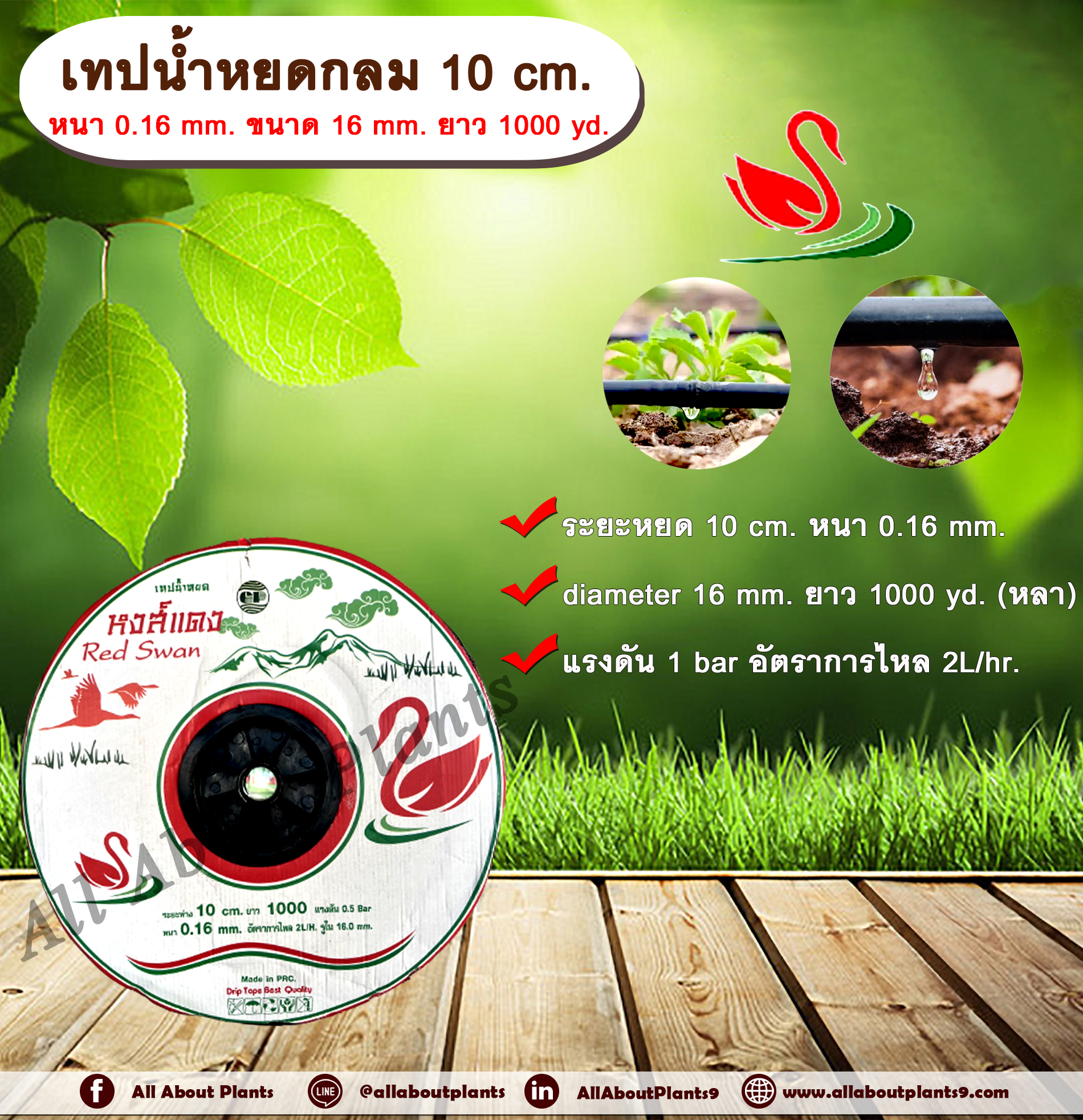 เทปน้ำหยด 10 cm. หนา 0.16 mm. ขนาด 16 mm. ยาว 1000 yd. ตราหงส์แดง เทปน้ำหยด สายน้ำหยด แบบกลม ระยะห่างรู 10 cm. หนา 0.16 mm. ยาว 1000 yd. ยาว 1000 หลา Drip Tape ม้วน