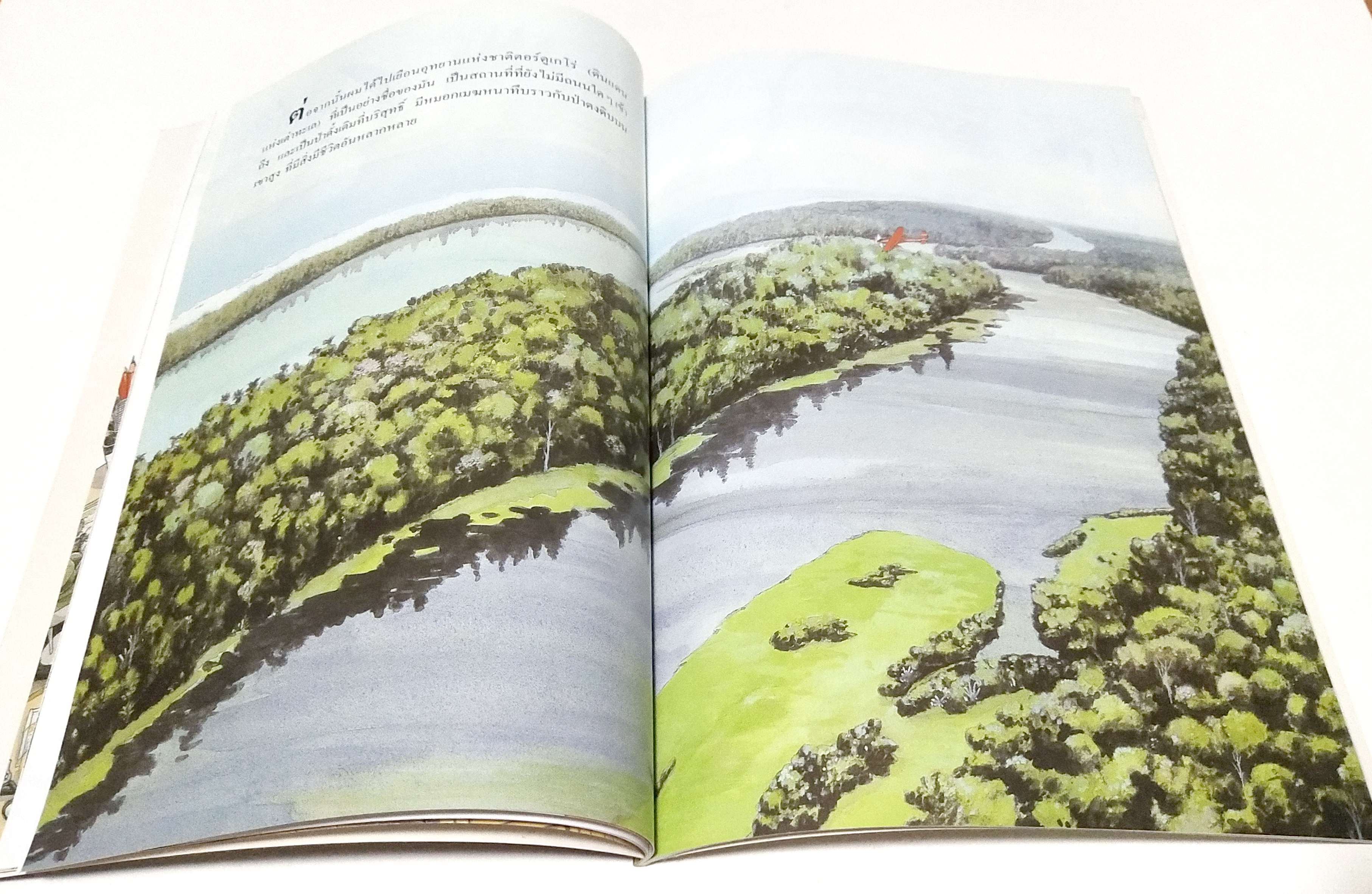 หนังสือภาพสวย ** กลางปกด้านใน หน้าและหลัง และหน้าสุดท้ายมีรอบสก๊อตเทป ภาพสีทั้งเล่ม ศึกษาชนิดพืชและสัตว์ในป่าดงดิบอันอุดมสมบูรณ์ "สิ่งมีชีวิตในป่า" โดย Tatsuhide Matsuoka แปลและเรียบเรียงโดย ดร. ชวลิต วิทยานนท์ พิมพ์ครั้งที่ 2 กันยายน 2547