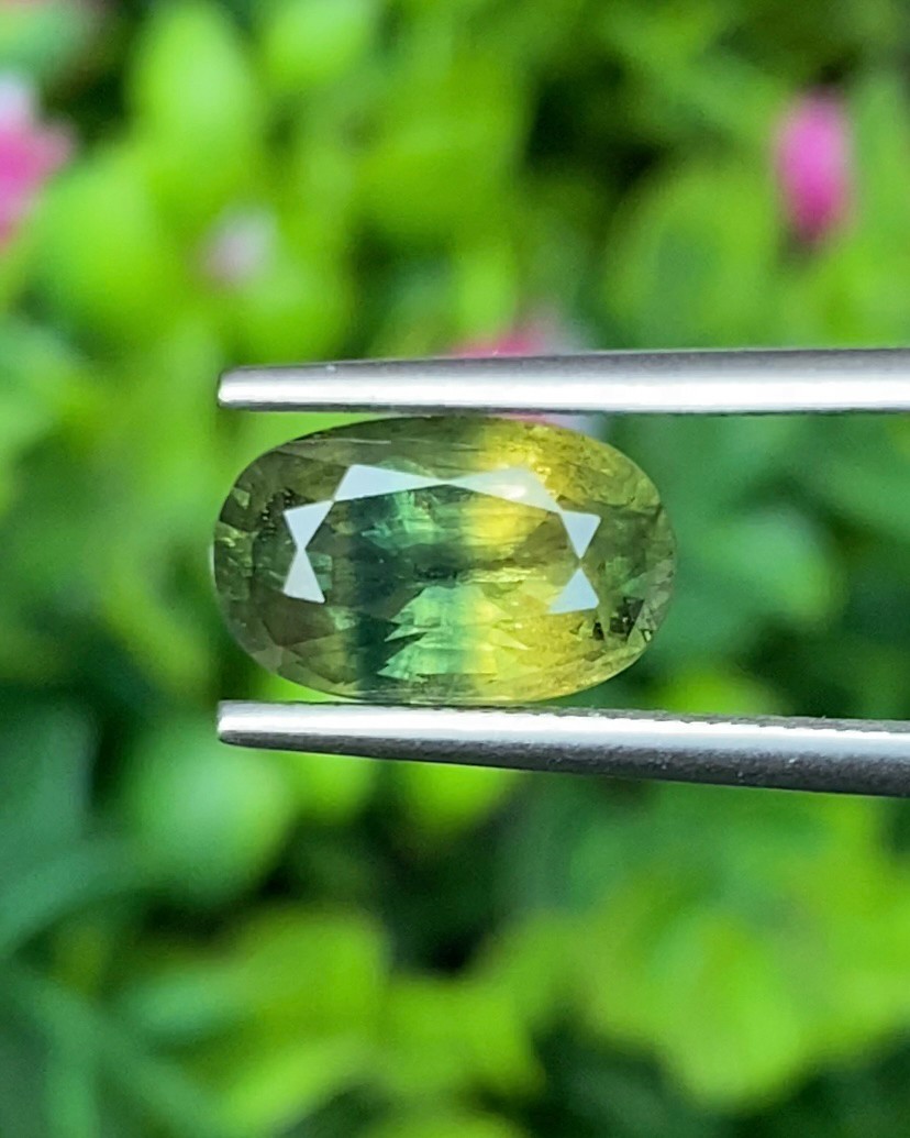 พลอย แซฟไฟร์ 2 สี Bi-Color Sapphire 3.32 กะรัต (Cts.) พลอยแท้ อัญมณีมงคลประจําวันเกิด เครื่องประดับพลอย