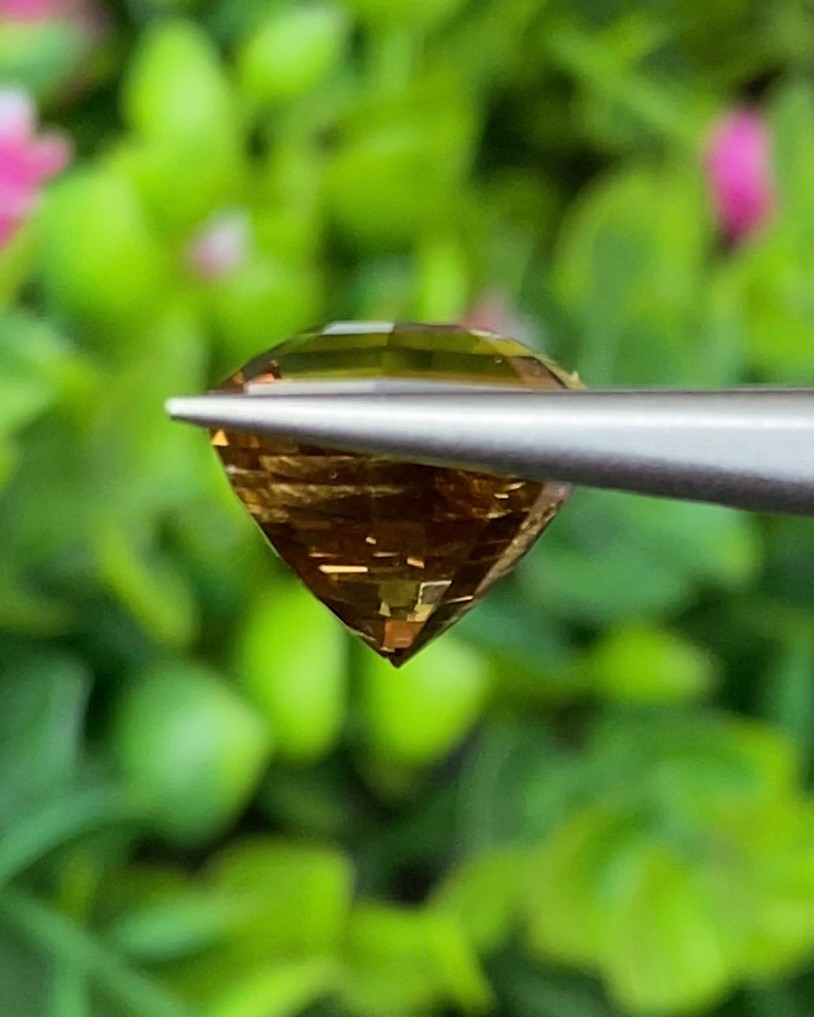 พลอย ซิทริน Citrine 7.25 กะรัต (Cts.) พลอยแท้ อัญมณีมงคลประจําวันเกิด เครื่องประดับพลอย