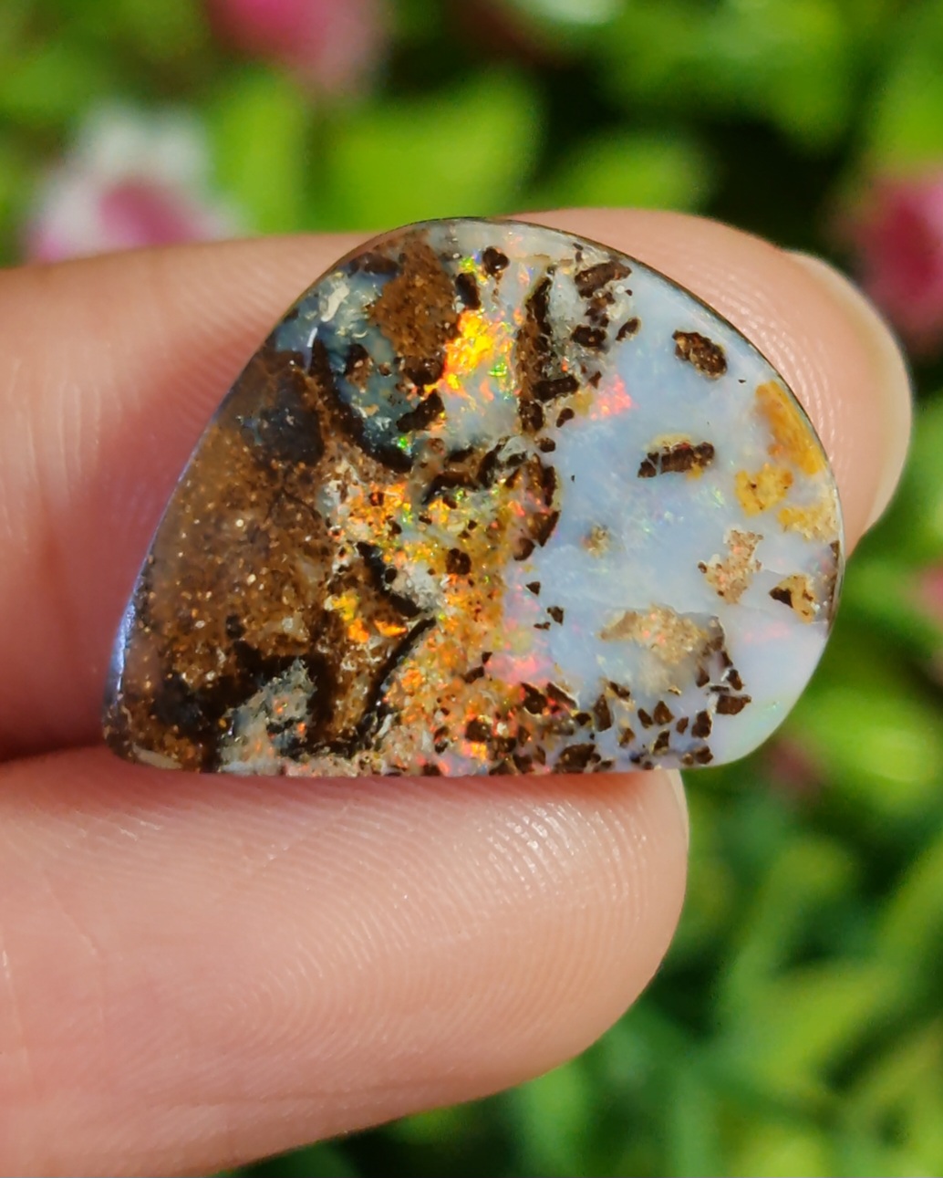 พลอย โบลเดอร์ โอปอล ออสเตรเลีย Australian Boulder Opal 14.3 กะรัต (Cts.) พลอยแท้ อัญมณีมงคลประจําวันเกิด เครื่องประดับพลอย