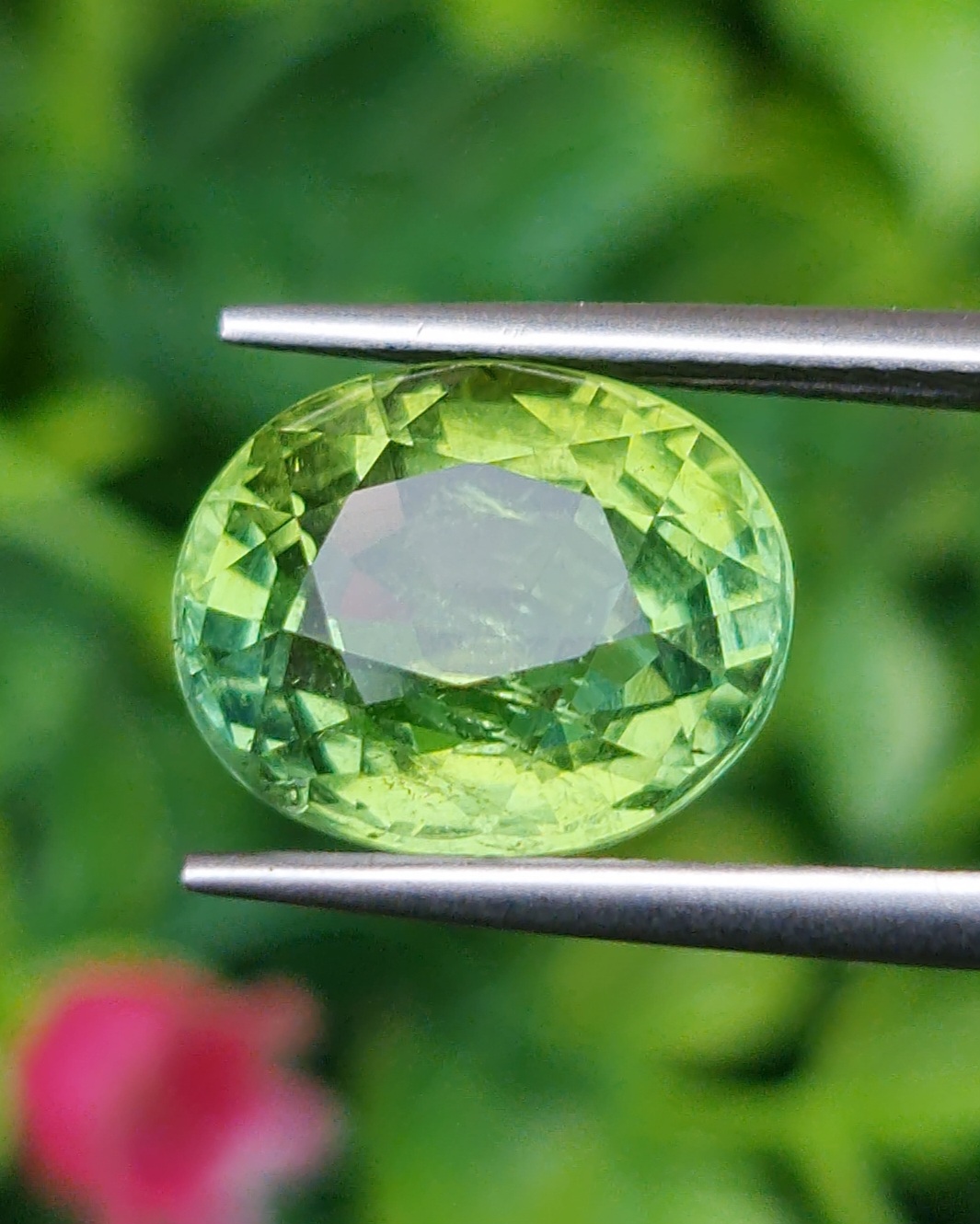พลอย กรีน ทัวร์มารีน (Green Tourmaline) 6.80 กะรัต (Cts.) อัญมณีมงคลประจําวันเกิด เครื่องประดับพลอย