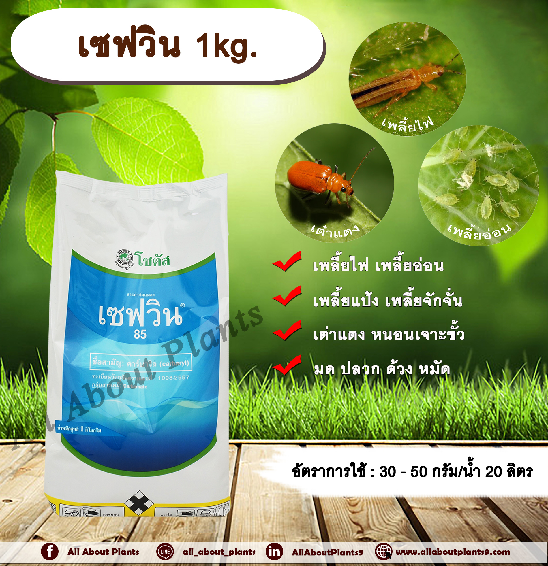 เซฟวิน 1kg. คาร์บาริล สารกำจัดแมลง เพลี้ยไฟ เพลี้ยอ่อน เพลี้ยแป้ง เพลี้ยจักจั่น เต่าแตง หนอนเจาะ มด ปลวก ด้วง หมัด allaboutplants ชิ้น