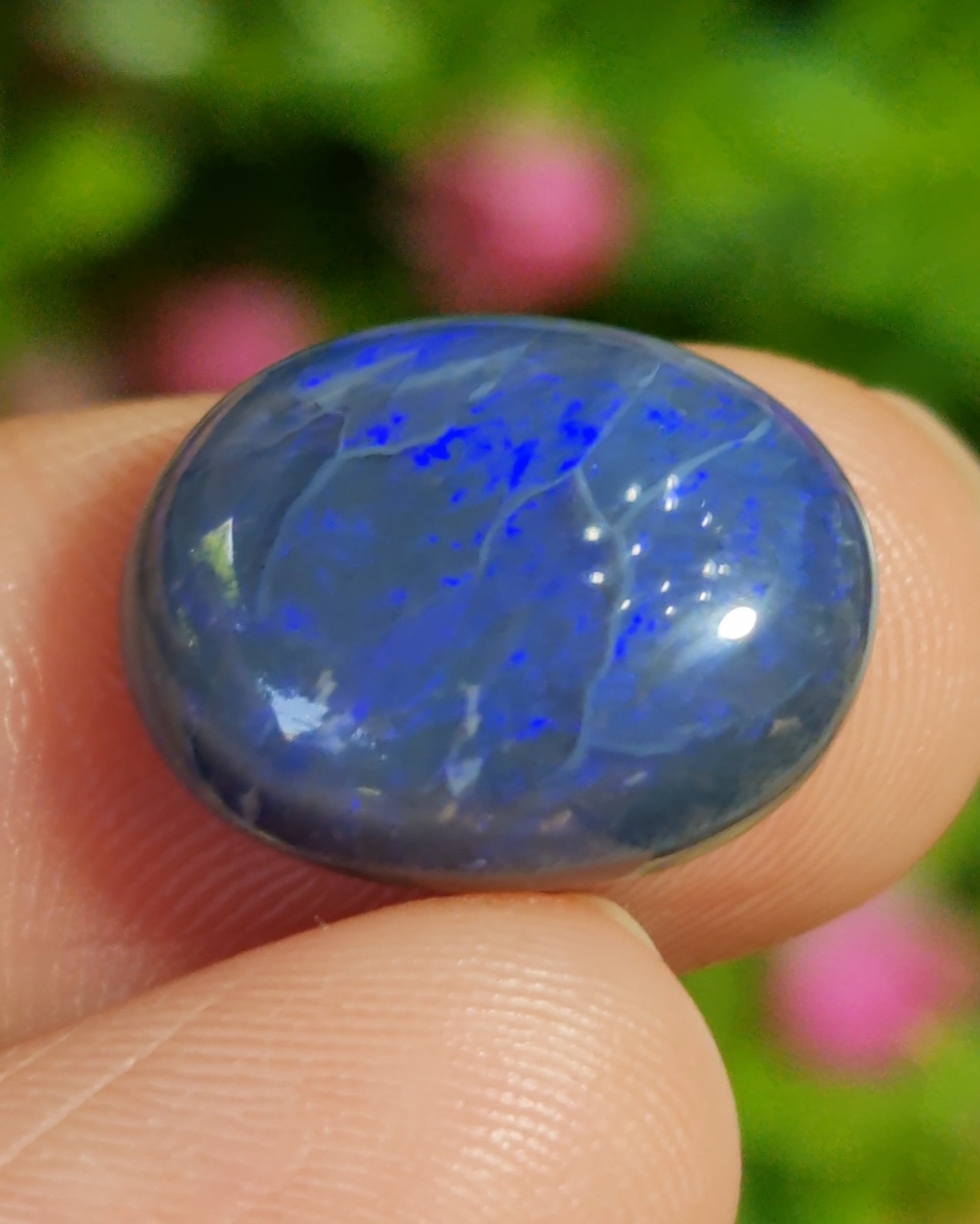 พลอย โบลเดอร์ โอปอล ออสเตรเลีย Australian Boulder Opal 7.30 กะรัต (Cts.) พลอยแท้ อัญมณีมงคลประจําวันเกิด เครื่องประดับพลอย