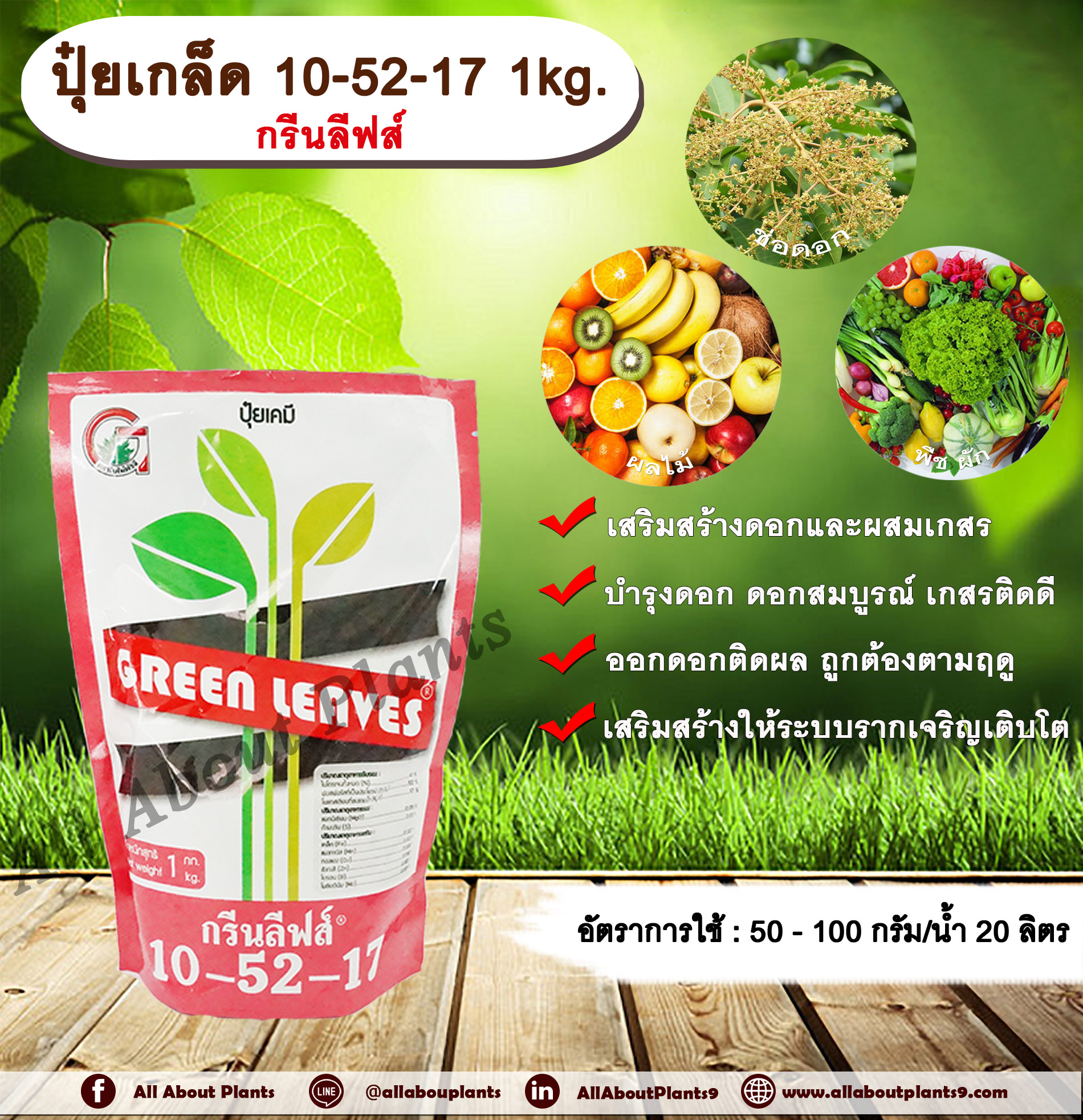ปุ๋ยเกล็ด 10-52-17 1kg. กรีนลีฟส์ เสริมสร้างดอก ผสมเกสร บำรุงดอก ดอกสมบูรณ์ เกสรติดดี พืชออกดอกติดผล ถูกต้องตามฤดูกาล เสริมสร้างให้ระบบรากเจริญเติบโต เสริมสร้างระบบราก ปุ๋ยเกล็ด ปุ๋ยNPK ปุ๋ยเกล็ดNPK allaboutplants ชิ้น