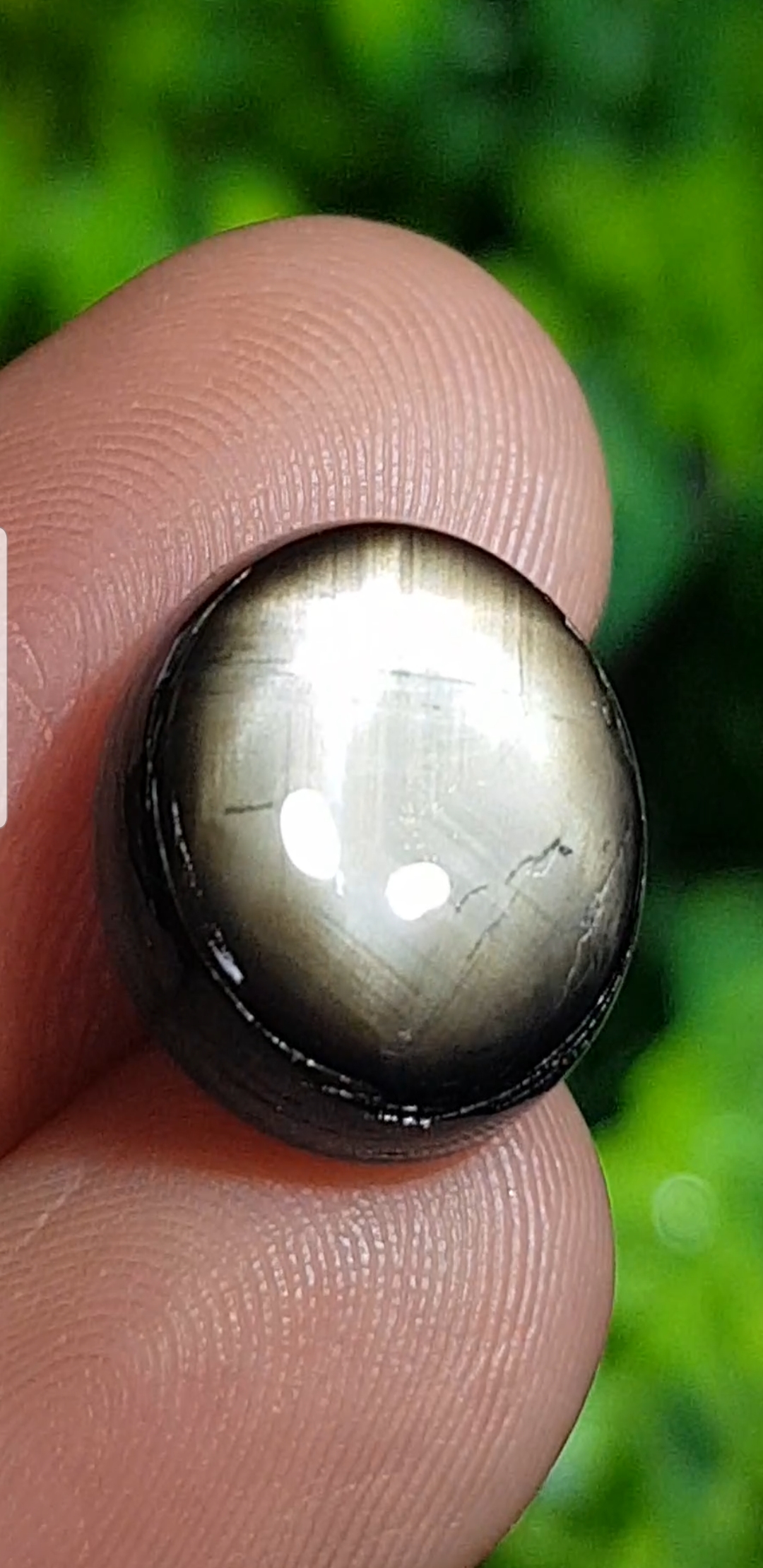 พลอย แบล็ค สตาร์ แซฟไฟร์ Black Star Sapphire 12.05 กะรัต (Cts.) ดิบ Unheated พร้อมใบเซอร์ พลอยแท้ อัญมณีมงคลประจําวันเกิด เครื่องประดับพลอย